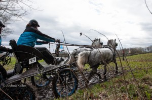 oefenmarathon 2016 MG 3466-3466 